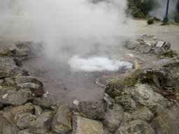 Retrouvailles ARS 2007 - Photos des Açores de Dominique